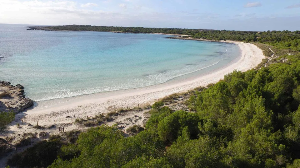 Faixa de areia larga em Son Saura, com vegetação baixa ao longo da margem.